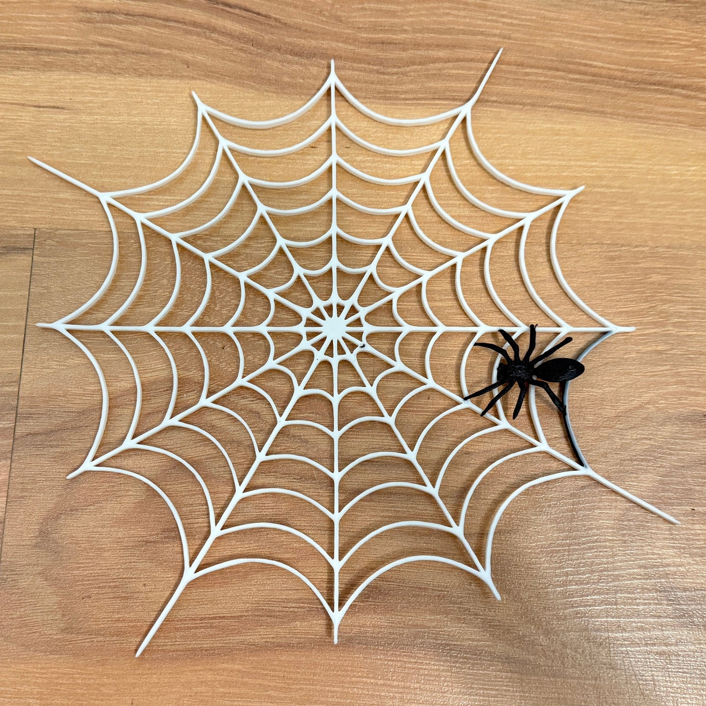 Spinnennetz mit kleiner Spinne