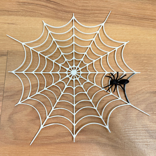 Spinnennetz mit kleiner Spinne