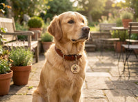 Hundemarke personalisiert Foto Name | Hunde Anhänger Holz rund | eufyMake E1 UV-Druck | Geschenk Hundebesitzer Halsband
