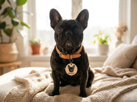 Hundemarke personalisiert Foto Name | Hunde Anhänger Holz rund | eufyMake E1 UV-Druck | Geschenk Hundebesitzer Halsband